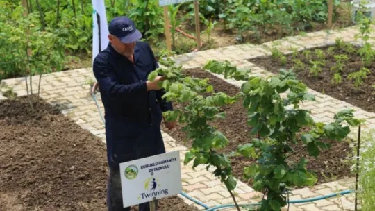 Daha önce hiç böyle bir köy okulu görmediniz