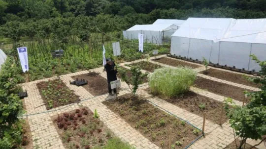 Daha önce hiç böyle bir köy okulu görmediniz