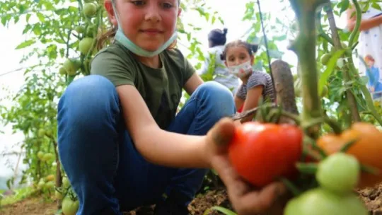 Daha önce hiç böyle bir köy okulu görmediniz