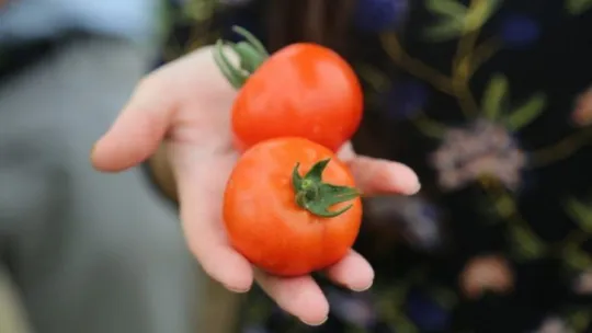 Daha önce hiç böyle bir köy okulu görmediniz
