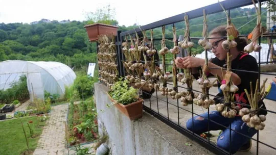 Daha önce hiç böyle bir köy okulu görmediniz