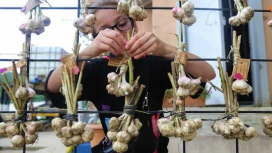 Daha önce hiç böyle bir köy okulu görmediniz