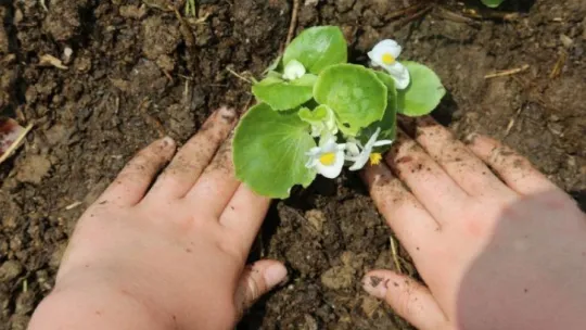 Daha önce hiç böyle bir köy okulu görmediniz