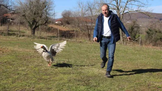 Papyonlu kazı ile birlikte şehir şehir geziyorlar