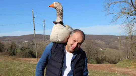 Papyonlu kazı ile birlikte şehir şehir geziyorlar