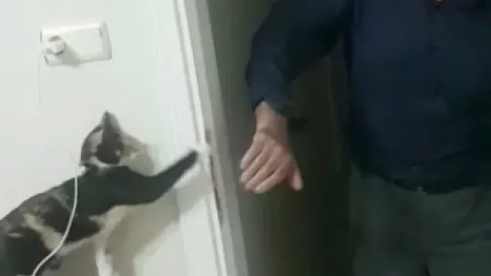 Damat dehşetinde yeni detaylar