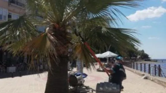 Değirmendere sahilindeki parklar bakımda!