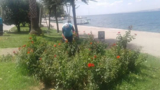 Değirmendere sahilindeki parklar bakımda!