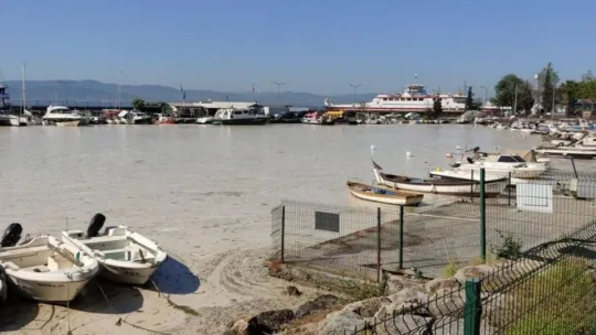 Deniz salyası ağları duman etti