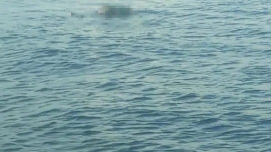 Denizde erkek cesedi bulundu