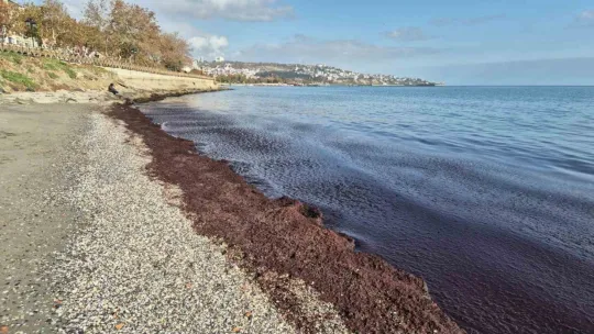 Marmara'da kızıl tablo
