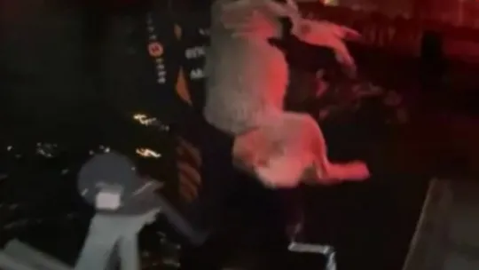 Denizde mahsur kalan köpeğe operasyon