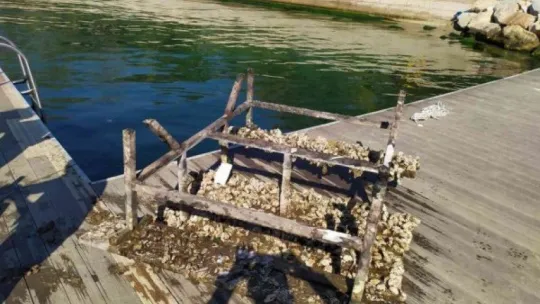 Denizden çıkan piknik masası şaşkına çevirdi