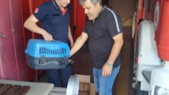 Denize düşen yaralı leyleğin yardımına itfaiye yetişti