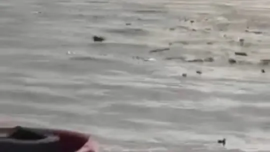 Denizi şehir çöplüğüne çevirdiler