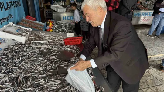 Denizlerde balık bolluğu: Hamsinin fiyatı düştü