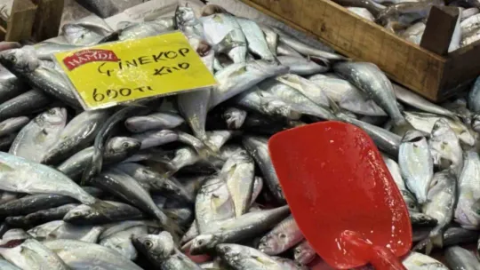 Denizlerdeki durgunluk tezgaha yansıdı