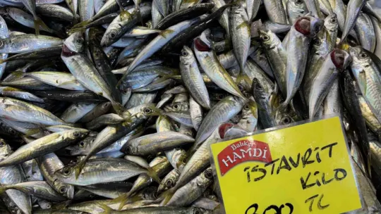 Denizlerdeki durgunluk tezgaha yansıdı