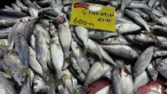 Denizlerdeki durgunluk tezgaha yansıdı