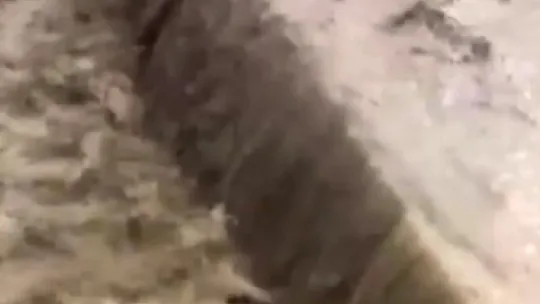 Sakarya'da mahalle sular altında kaldı