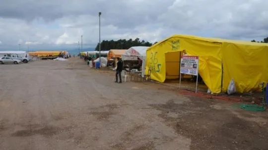 Derince'de 1 tonluk boğalar otomobil fiyatına satıldı