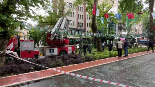 Dev ağaç kafenin üzerine devrildi, facia teğet geçti