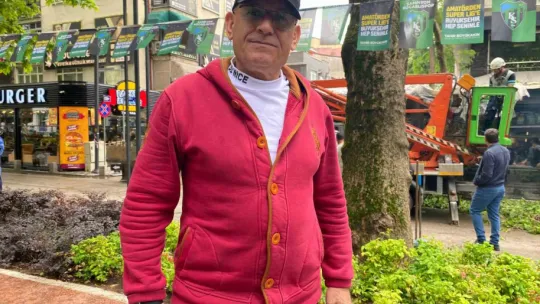 Dev ağaç kafenin üzerine devrildi, facia teğet geçti