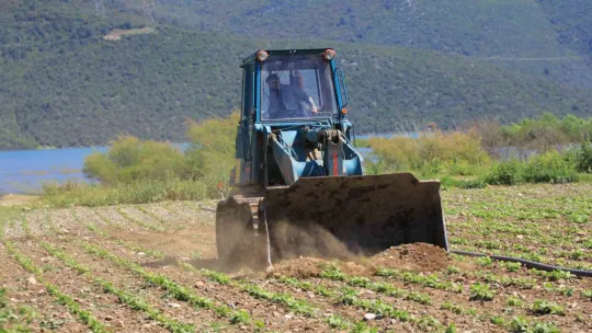 Devlet çiftçiye ekin diyor, DSİ ekili alanları düzlüyor