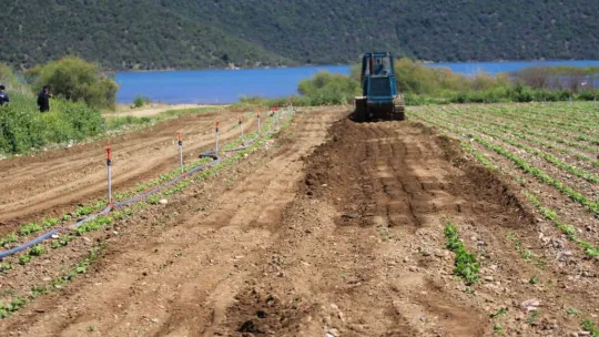 Devlet çiftçiye ekin diyor, DSİ ekili alanları düzlüyor