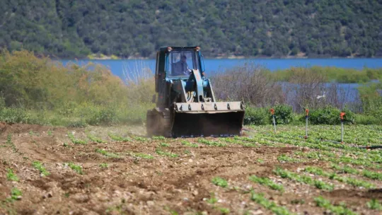 Devlet çiftçiye ekin diyor, DSİ ekili alanları düzlüyor