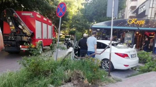 Devrilen ağaç otomobilin arka camını patlattı