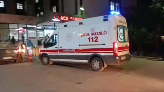 Devrilen traktörün sürücüsü hayatını kaybetti