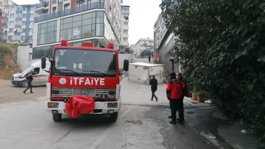 Dik yokuştan geri geri inmeye çalışan kamyonet devrildi