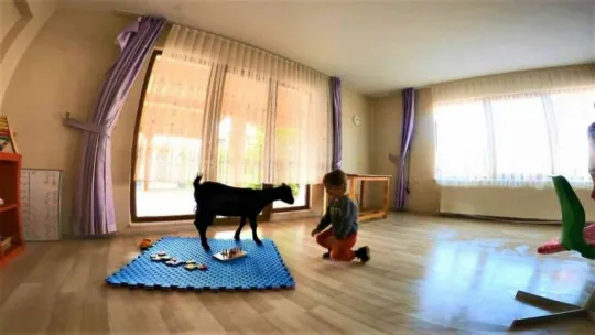Dikkat sınıfta 'keçi' var!