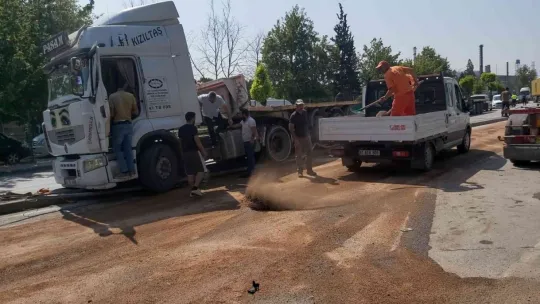 Direksiyonu kilitlenen tır direğe çarptı