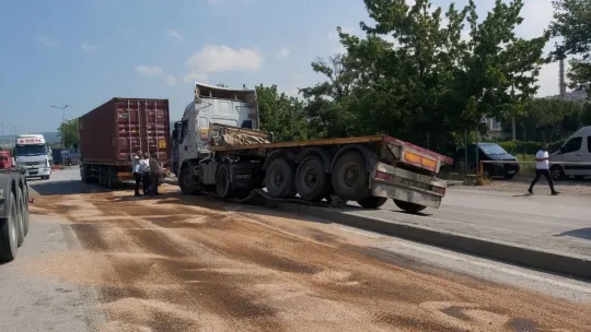 Direksiyonu kilitlenen tır direğe çarptı
