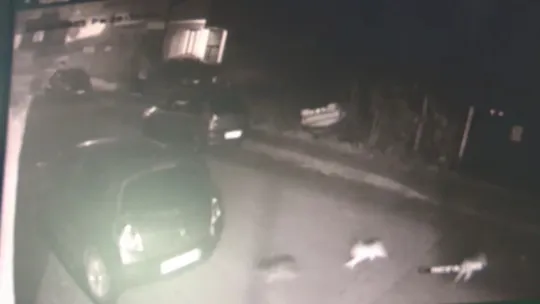 Doğal gaz patlaması güvenlik kamerasında!