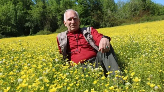 Doğanın altın renkli stüdyosu göreni hayran bırakıyor