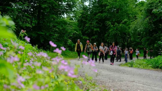 Doğaseverler Kuzuyayla'da biyolojik çeşitliliği kayıt altın aldı