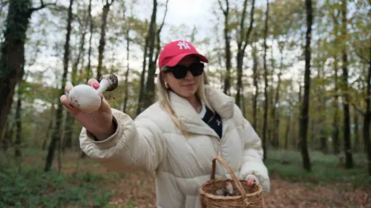 Doğaseverler Ormanya'nın zengin biyolojik çeşitliliğini keşfetti