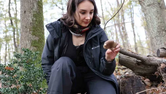 Doğaseverler Ormanya'nın zengin biyolojik çeşitliliğini keşfetti