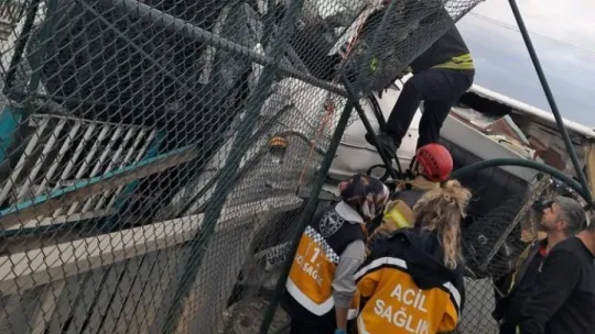 Dondurulmuş tavuk yüklü tır devrildi, sürücü 2 saatte kurtarıldı