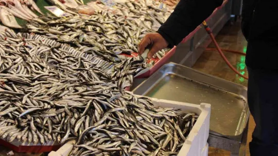 Dün 50 liraydı, bugün 35'e düştü