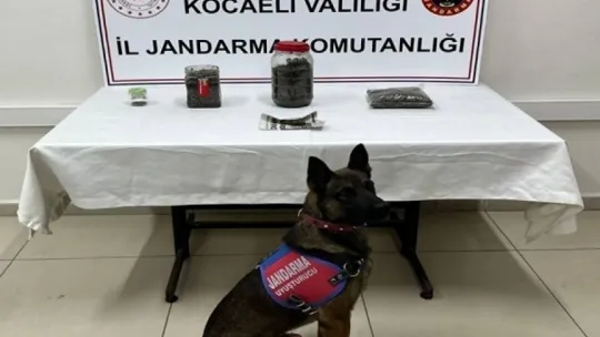 Durdurulan araçtan 11 tabanca çıktı