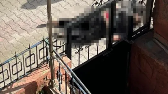 Eşini öldüren sanıktan cinli savunma