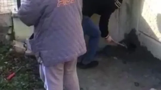 Kedilerin canlı canlı gömüldüğü iddiası ortalık karıştırdı