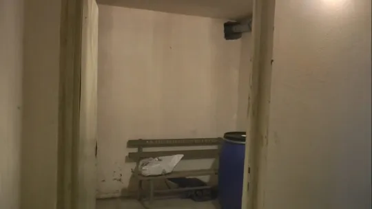 Kedilerin canlı canlı gömüldüğü iddiası ortalık karıştırdı