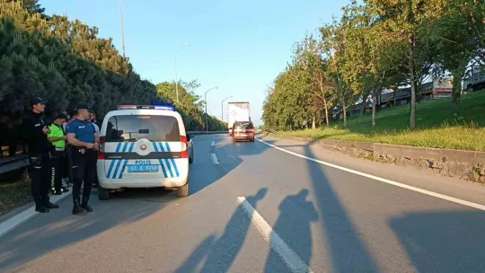 E-5'te çekicinin çarptığı yayanın iki bacağı da kırıldı