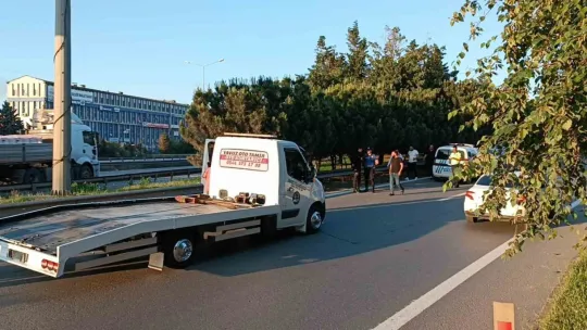 E-5'te çekicinin çarptığı yayanın iki bacağı da kırıldı