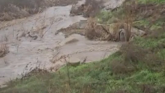 Fırtınada yollar göle döndü, ağaç dalları kırıldı
